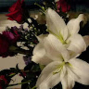 Meet your Posher, Susan